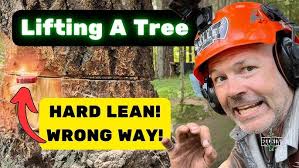 The 'AXE ' That Changed Everything, Hand Splitting Firewood