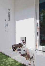 Houzz Tour Step Inside And Out A New Florida Showhouse Dog Washing Station Dog Rooms Dog Shower