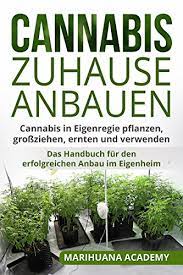 Im garten sind die pflanzen für jedermann zu sehen und lassen sicher. Cannabis Zuhause Anbauen Cannabis In Eigenregie Pflanzen Grossziehen Ernten Und Verwenden Das Handbuch Fur Den Erfolgreichen Anbau Im Eigenheim Ebook Academy Marihuana Amazon De Kindle Shop