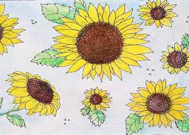 Untuk pembuatan gambar sketsa bunga matahari untuk tahap awal yang perlu kita lakukan adalah dengan cara mencoba membuat sebuah lingkaran dengan ukuran yang kecil. Mewarnai Gambar Bunga Matahari Gambar Mewarnai
