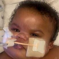 My'Zamir "Shyne" Khiceeyah Rollins Jelks Obituary