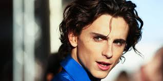 Hosting the met gala is like 'cinderella going to the ball'. Timothee Chalamet Spielt Jungen Bob Dylan Judische Allgemeine