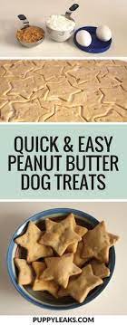 Quick Easy Peanut Butter Dog Treats Puppy Leaks Dog Biscuit Recipes Easy Dog Treat Recipes Easy Dog Treats