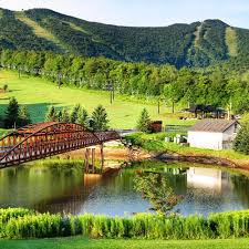 Image result for Weslyn Green 1933 Studebaker