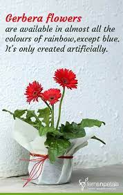 Send Flowers Online Send Flowers Online Flowers Online Flowers