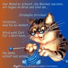 Gute Nacht Freunde Bis Morgen Gute Nacht Lustig Gute Nacht Bilder Gute Nacht