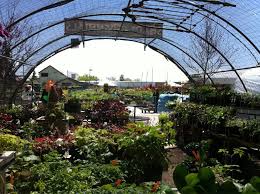 It's a Great Day at Millcreek Gardens! - Millcreek Gardens