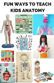 Teach children how to describe the functions of internal body organs, using this online english lesson. 10 Fun Ways To Teach Kids Anatomy