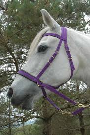 Pin On Horses