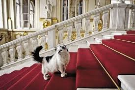 Le musée de montmartre prend place dans des anciennes maisons de la butte. Les Chats Du Musee De L Ermitage
