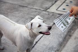 Some groomers have a sideline job. Dog Groomer Prices How Much Should I Charge 123pet Software