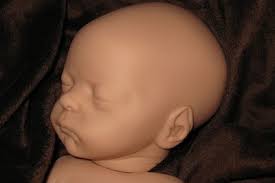 NATALIE SCHOLL RYAN REBORN KIT SOLD OUT COA #484 RARE & BEAUTIFUL! MUST SEE  HTF