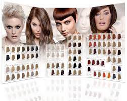 Palitry Krasok Keune Tinta Color Hair Color Chart Keune Hair Keune Hair Color