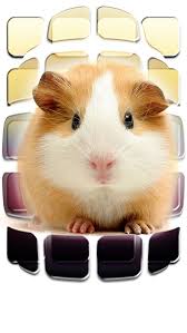 Pin On Your Daily Dose Of Awww