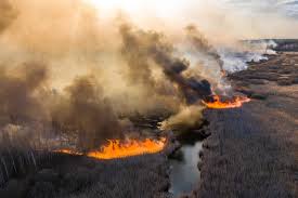 Video and footage of chnpp explosion, snapshot of the (ap photo / efrm lucasky). Chernobyl Wildfires Reignite Stirring Up Radiation The New York Times