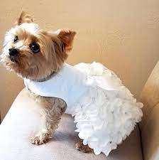 Dog Wedding Dress Dog Dress Dog Clothing Pet Clothing Etsy Dog Wedding Dress Pet Dress Dog Clothes Patterns
