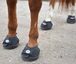 Cavallo Horse Boots The Best Horse Hoof Boot When It Clicks