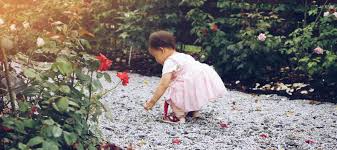 Back bay florist has a good number of funeral arrangements and sympathy flowers so you can always send your kindest condolences. 6 Best Gardens For Families To Visit In The Bay Area Mommy Nearest