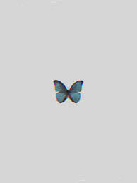 Daily additions of new, awesome, hd aesthetic wallpapers for desktop and phones. Cute Aesthetic Butterflies Wallpapers Wallpaper Cave