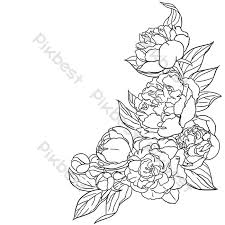Are you looking for hand drawn flower design images templates psd or png vectors files? Drawing Line Drawing Flowers Png Images Psd Free Download Pikbest