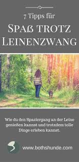 7 Tipps Wie Du Trotz Leinenzwang Spass Haben Kannst Hunde Hunde Erziehen Hundchen Ubung