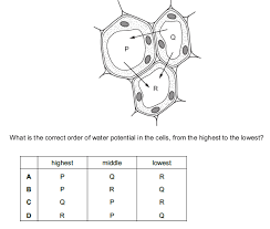 When a plant cell is put in water that has a lot of materials dissolved in it, like salty water, the cytoplasm will shrink as it loses water through osmosis. Diffusion And Osmosis Quiz