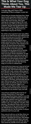 Pin By Elizabeth Cuomo On How To Say Goodbye To A Fur Baby Dog Love Dog Stories Dog Quotes