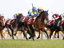 62 666 tykkäystä · 657 puhuu tästä. ç›®é»'è¨˜å¿µãƒ¬ãƒ¼ã‚¹å¾Œã‚³ãƒ¡ãƒ³ãƒˆ ãƒ«ãƒƒã‚¯ãƒˆã‚¥ãƒ¯ã‚¤ã‚¹ D ãƒ¬ãƒ¼ãƒ³é¨Žæ‰‹ã‚‰ ç«¶é¦¬ãƒ‹ãƒ¥ãƒ¼ã‚¹ Netkeiba Com