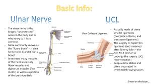 Let's please dispel this notion that a single pitch thrown incorrectly caused the injury. Ulnar Neuritis And Tommy John Ulnar Collateral Ligament Ucl Ppt Download