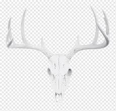 We did not find results for: Rusa Rusa Ekor Putih Tanduk Rusa Kepala Rusa Besar Tanduk Kepala Warna Png Pngwing