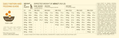 Scientific Orijen Large Breed Puppy Feeding Chart Large