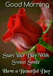 Good Morning Inspirations Good Morning Flowers Good Morning Massage Good Morning Greetings