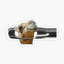 Camel through the eye of a needle (czech: Matthew 19 Stickers Redbubble