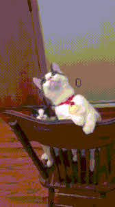 With tenor, maker of gif keyboard, add popular ceiling fan funny animated gifs to your conversations. Ceiling Fan Gifs Get The Best Gif On Gifer