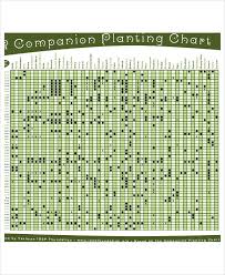 Companion Planting Chart 9 Free Excel Pdf Documents
