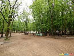 Belgrad ormanı) is a mixed deciduous forest lying adjacent to istanbul, turkey.it is named after the thousands of serbs who were deported from the city of belgrade in 1521 when it fell to the ottomans. Belgrad Ormani Piknik Yapilacak Yerler Tabiat Parklari Azbibak