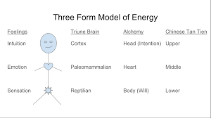 Describe the sexual response cycle. Sex Transmutation How To Channel Sex Energy To Fascinate Attract Abundance And Create Your Reality