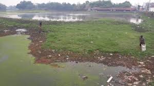 This picture was taken in garunggang danau saguling padalarang,west java. Sejak Kemarau Air Danau Situ Tunggilis Semakin Surut Hingga Warga Kesulitan Dapatkan Air Bersih Warta Kota