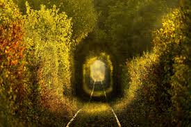 Nu neapărat acum, ci atunci când verdele (primă)verii ori auriul toamnei vor cuprinde şi surprinde natura. Tunelul Dragostei Din CaraÈ™ Severin Planiada