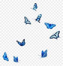 Find Hd Blue Butterfly Fly Animals Stickers Babochki Png Hd Png Download Is Free Png Image Download And Us Butterfly Background Blue Butterfly Neon Png