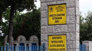 Autoritatea informează că inspectorii au confiscat 101 kilograme de piept… Èef Nou La Dsvsa Gorj Gazeta De Sud