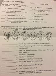 We did not find results for: E Cell Cycle Worksheet Th Name Period Tching Match Chegg Com