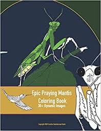 They can turn their heads to look at you, they walk on you fearlessly, they look gnarly, they bend down to drink water like giraffes and the way they hunt is 100% heavy metal; Epic Praying Mantis Coloring Book 30 Dynamic Images Single Sided Pages Kaleidoscope Books Creative 9798570370647 Amazon Com Books