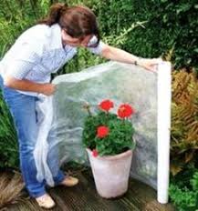 Chart how much sun that your garden will get. 17 Frost Protection Ideas Frost Plant Covers Plants