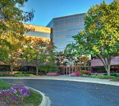 There is a small hiking trail located at this picnic area for those who would like to take a convenient walk through the woods. Three Hawthorn Parkway Hamilton Partners
