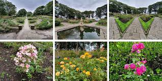 A christmas rose ashton drake. Local Guides Connect Family Trip To Ashton Gardens St Annes On The Sea Local Guides Connect