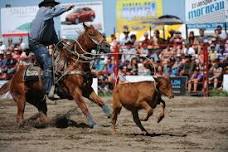 Chambord Cowboy Festival
