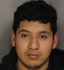 Suspected hit-and-run driver arrested by police after being attacked by  coyote