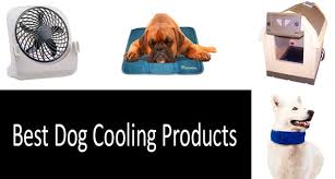 Top 24 Best Dog Cooling Products Complete Buyers Guide 2019