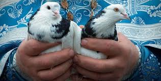 Сын божий сын девы бывает и господь избрал сион и возжелал его в жилище для себя. Blagoveshenie V 2021 Godu Data Tradicii I Obychai